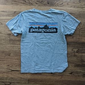 Classic Grey Cotton Patagonia T-Shirt